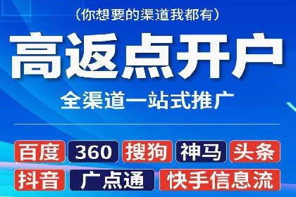 百度竞价与搜索引擎优化（SEO）的协同效应案例